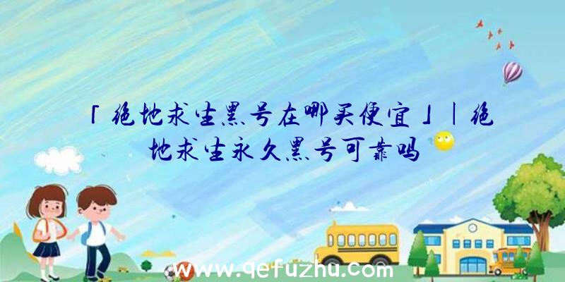 「绝地求生黑号在哪买便宜」|绝地求生永久黑号可靠吗